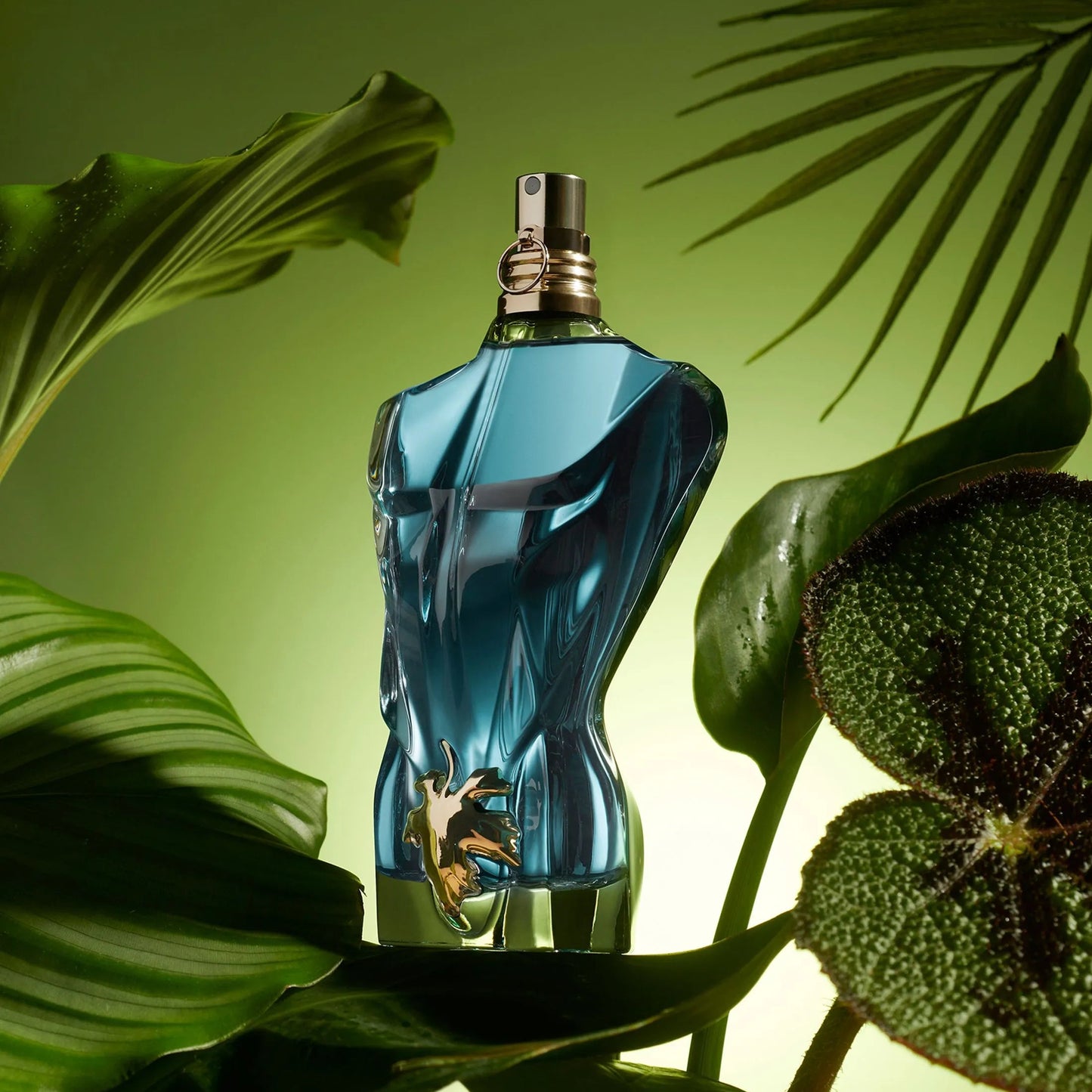 Pack: Le Beau (Lata) + Scandal Pour Homme